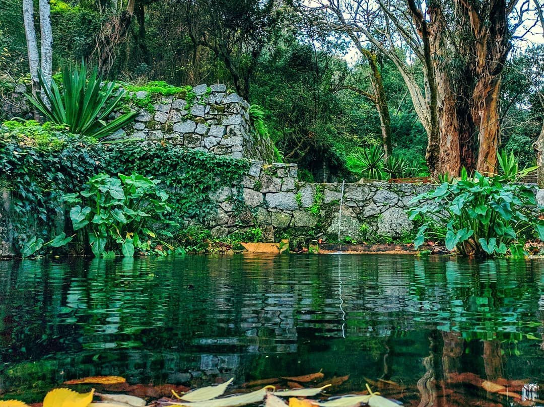 Villa Termal Monchique - Central Suites & Apartments by Unlock Hotels主图