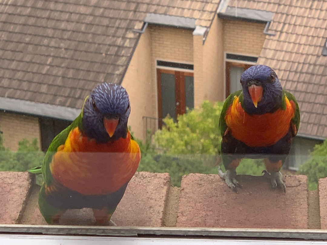 北岸庞特山酒店主图