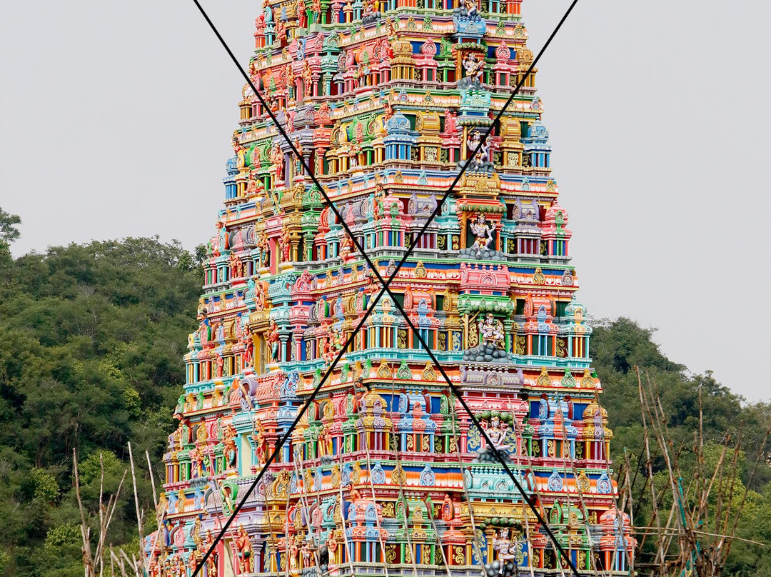 Thiruthani Murugan Temple景点图片
