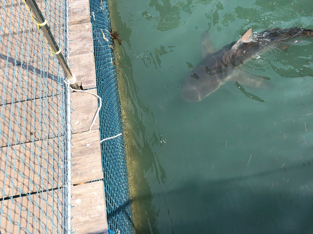 Sea Farming Demonstration Unit-尖竹汶必去景点