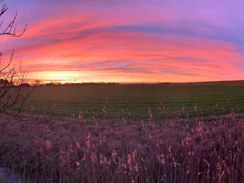Gasthof zum Deichgrafen主图