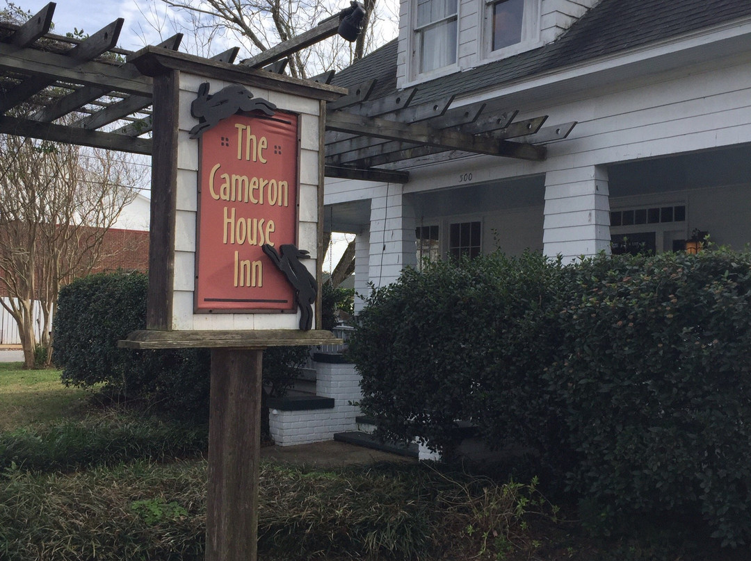 Cameron House Next Door主图