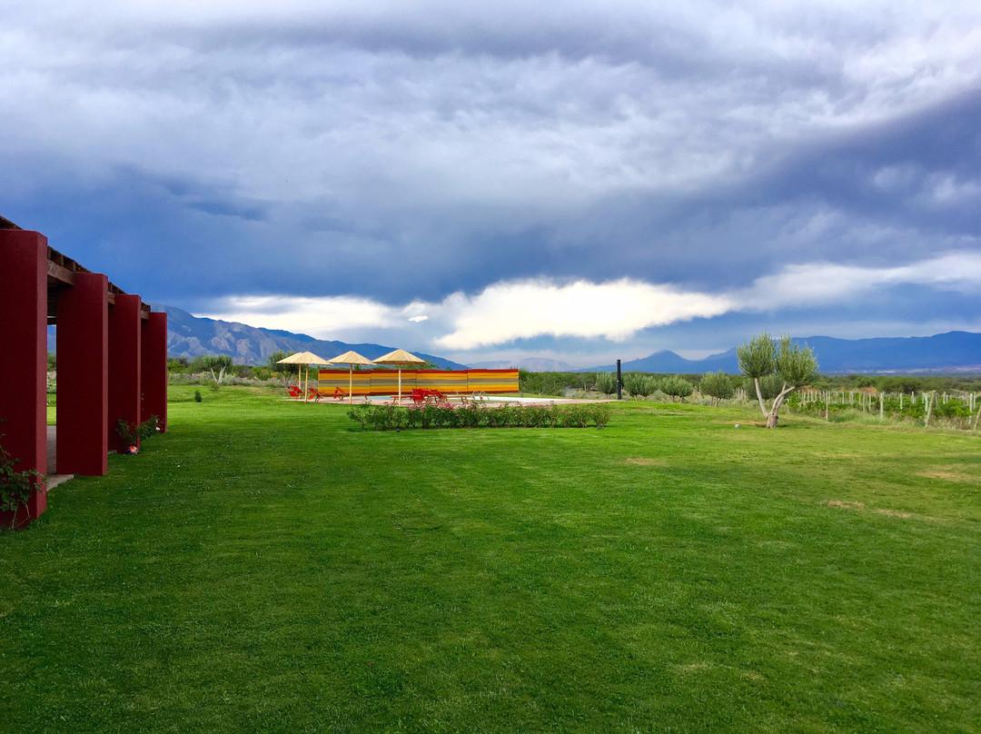 Finca Albarossa主图