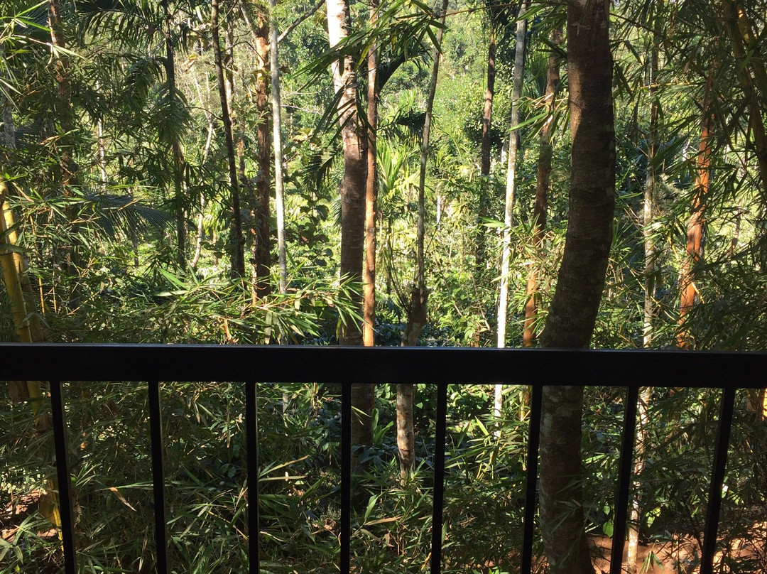 Willow Resorts主图