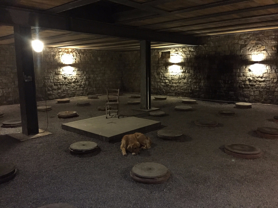 Josko Gravner Winery景点图片