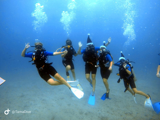 TamaDive-塔马林多必去景点