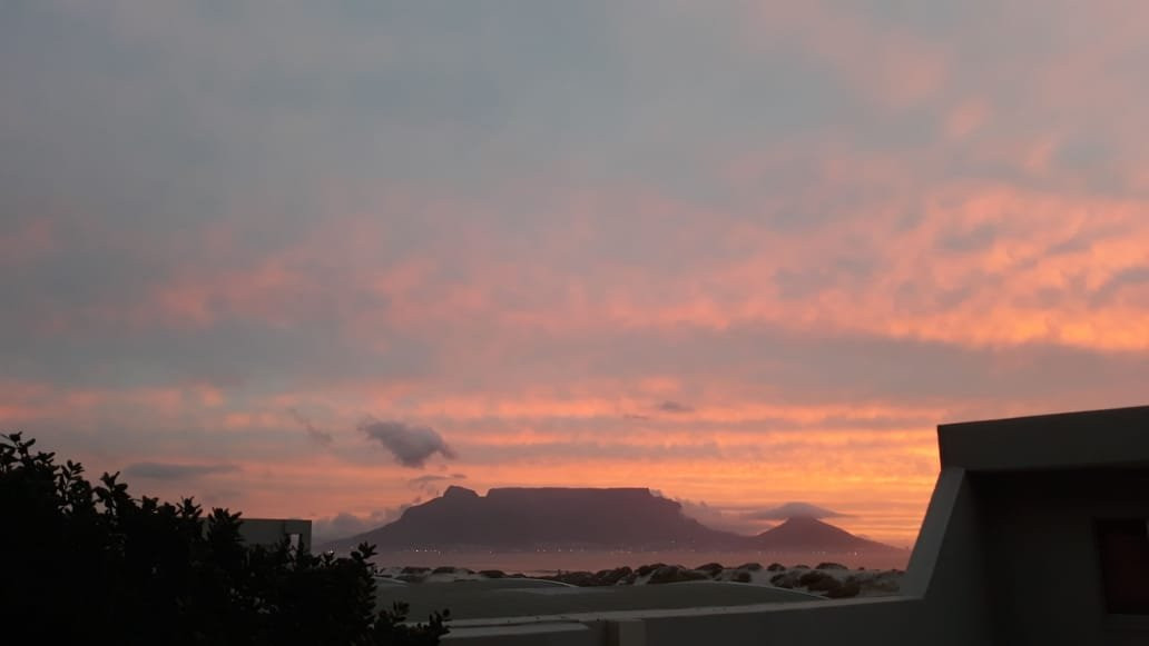 海豚湾大酒店主图