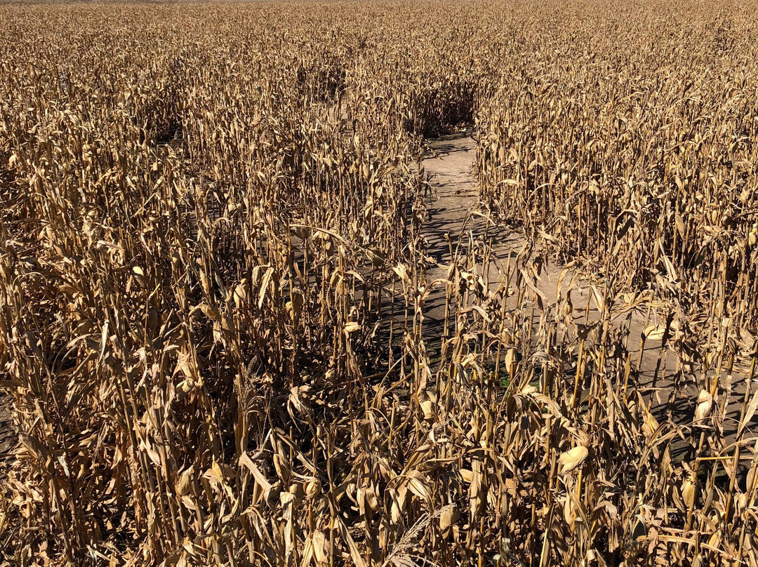 Exploration Acres-拉斐特必去景点