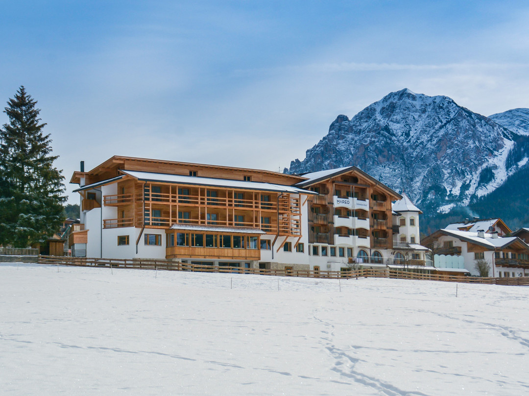 Hotel Mareo Dolomites主图