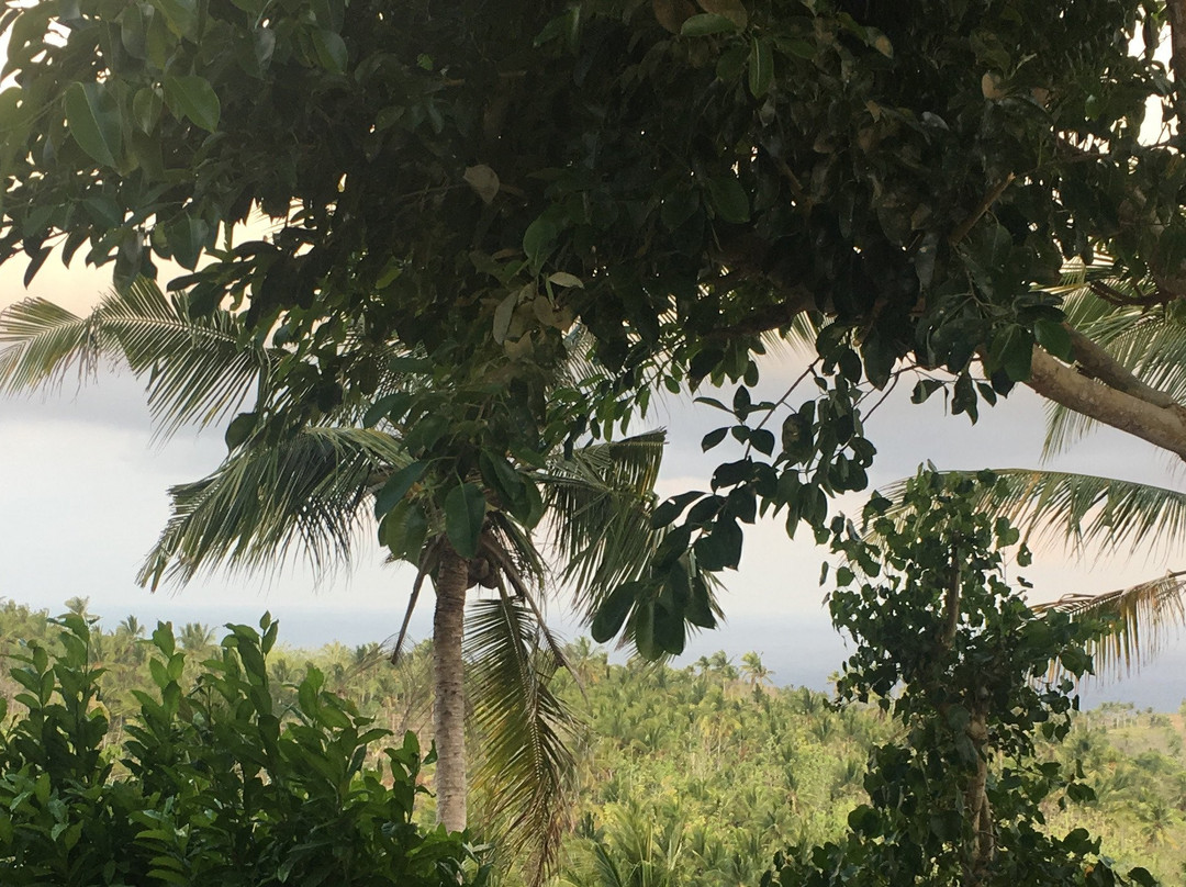 Atuh Forest Cottage主图