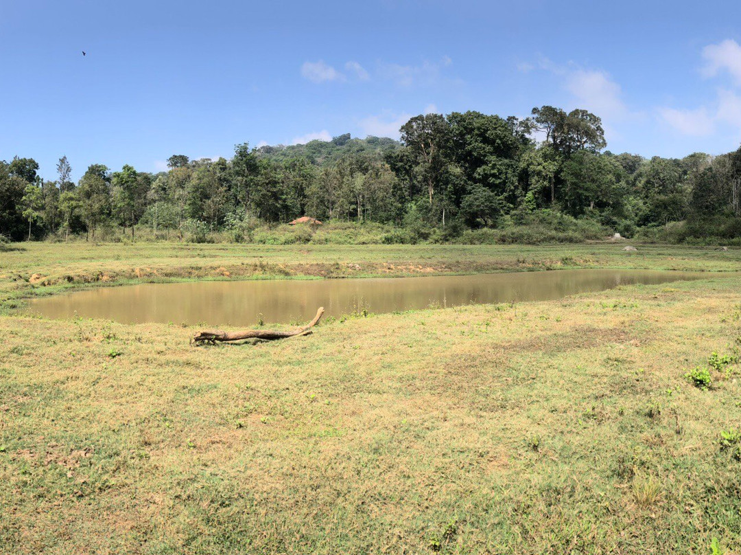 Jungle Retreat Wayanad主图