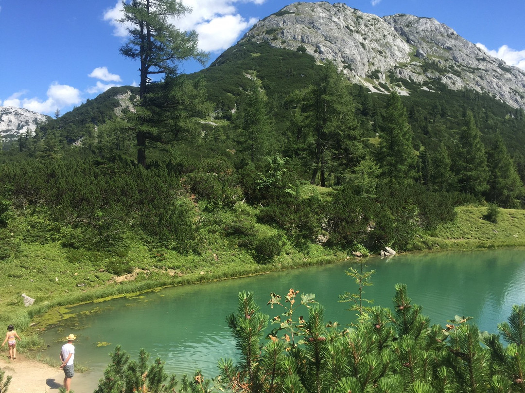 Hotel Alpen Arnika主图