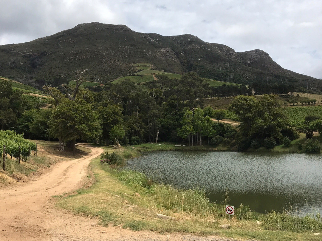 The Constantia Wine Tour-康士坦提亚必去景点