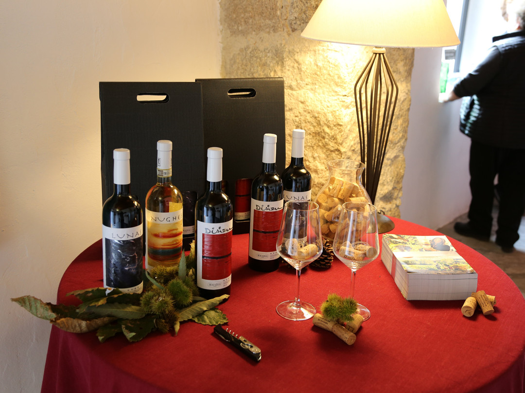 Azienda Vitivinicola Tenuta Muscazega-Luras必去景点
