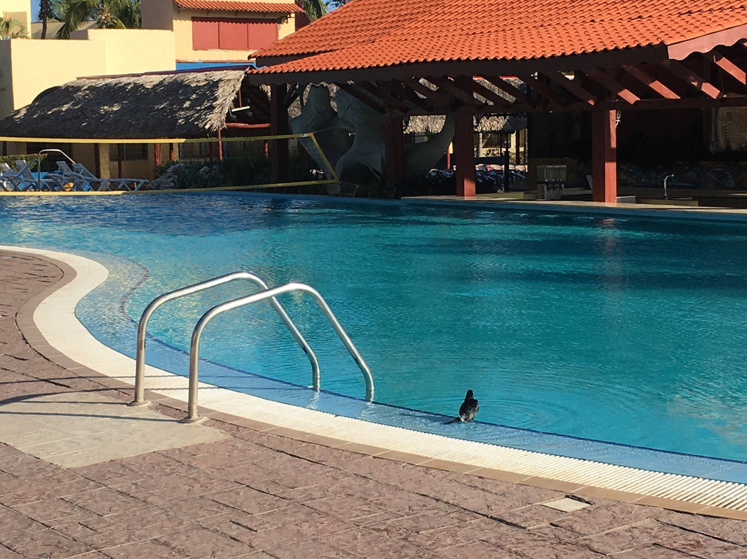 Hotel Brisas Santa Lucía主图