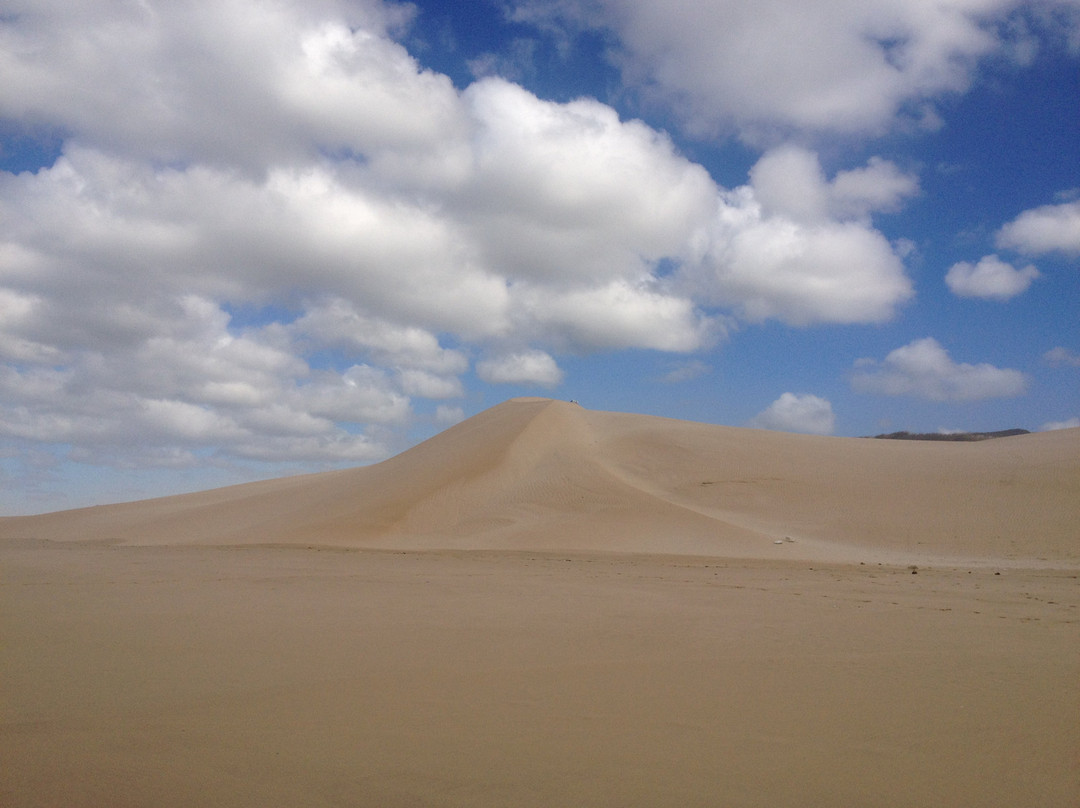 Sardinia Bay Beach景点图片