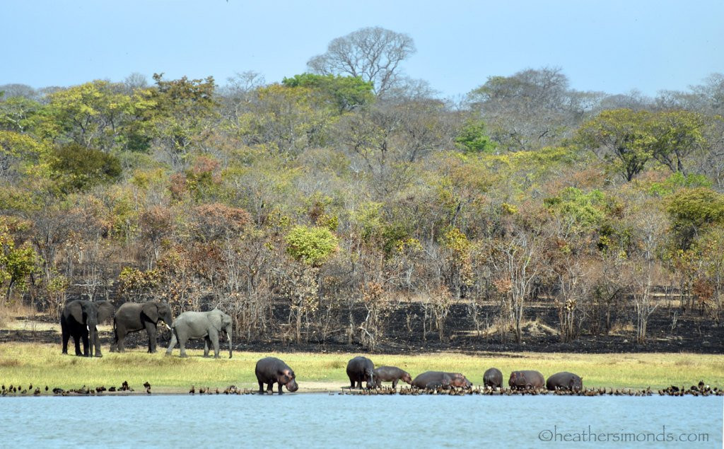 Nyasa Adventures-布兰岱必去景点