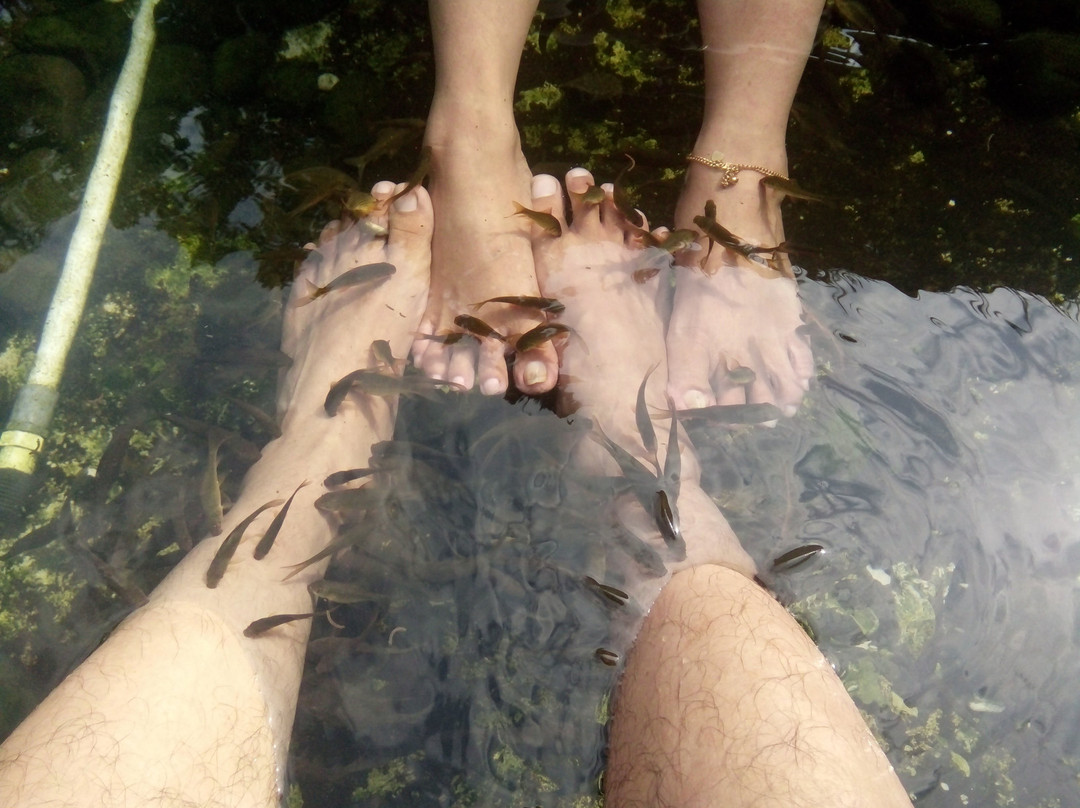 Hotel Borobudur Jombor主图