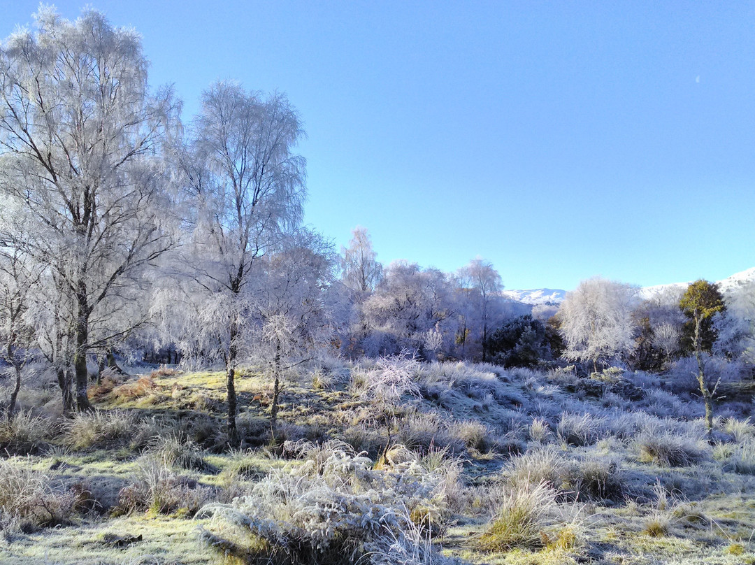 Glen Finglas Visitor Gateway & Estate-洛蒙德湖与特罗萨克斯山国家公园必去景点