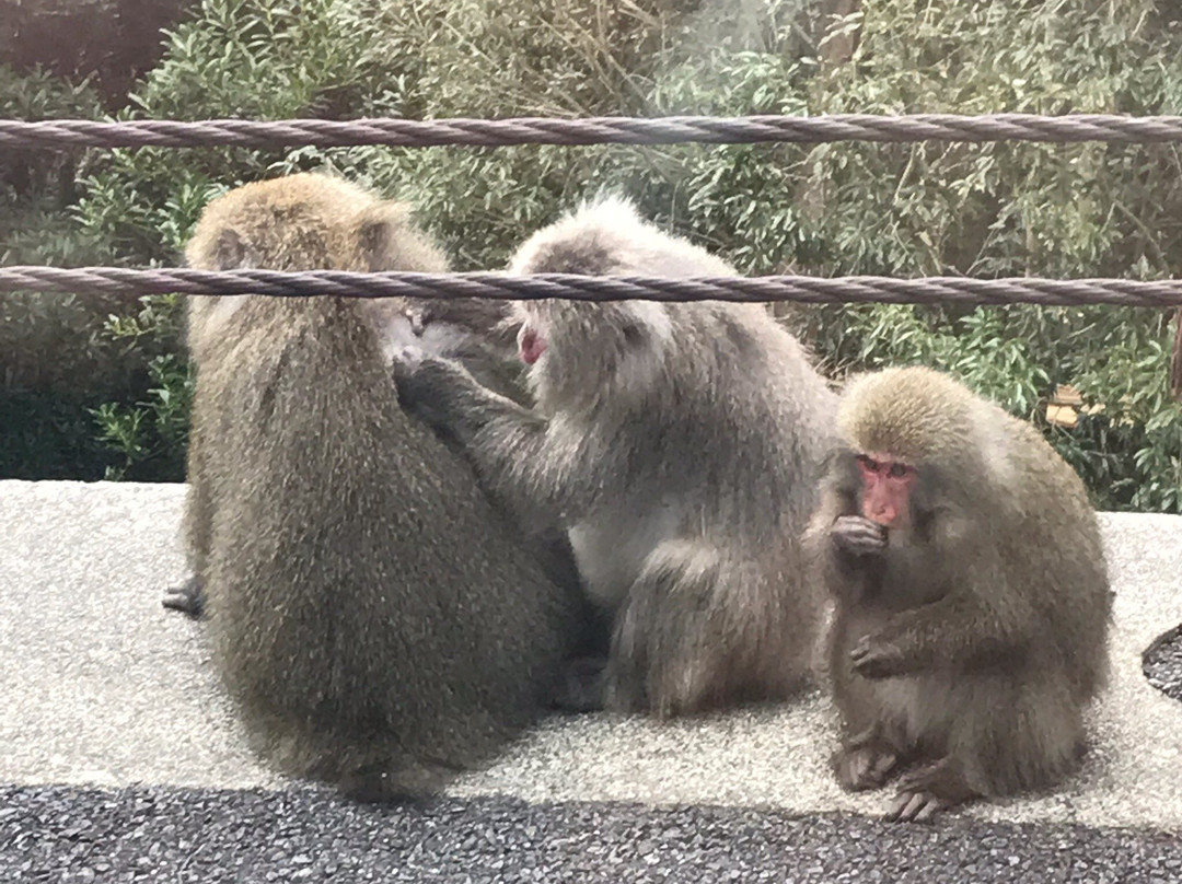Matsubanda Kotsu景点图片