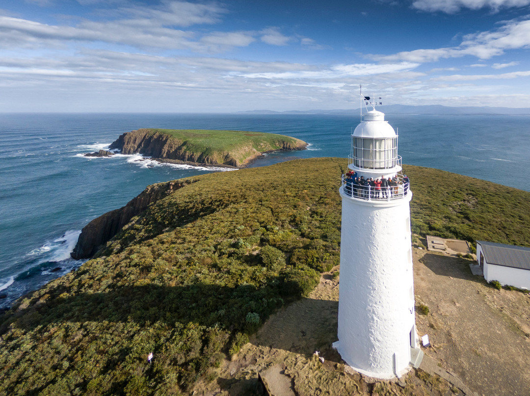 Bruny Island Safaris-霍巴特必去景点