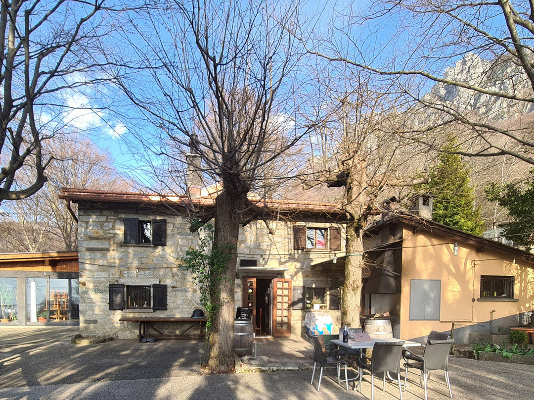 Bidogno餐馆和美食-Grotto Monte Creda