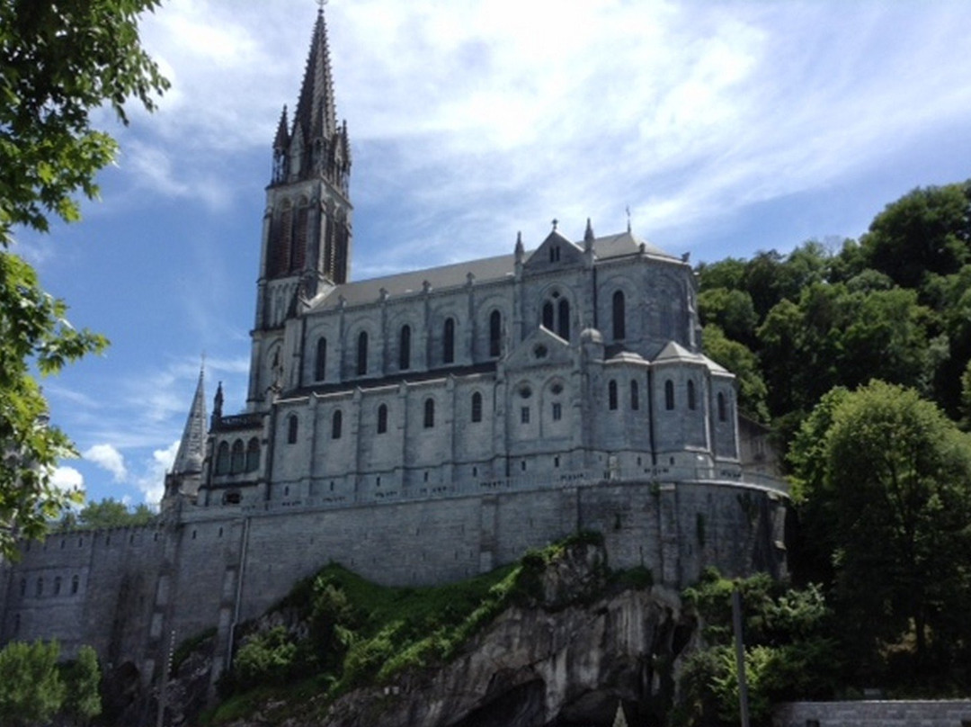 France Top Tours-图卢兹必去景点