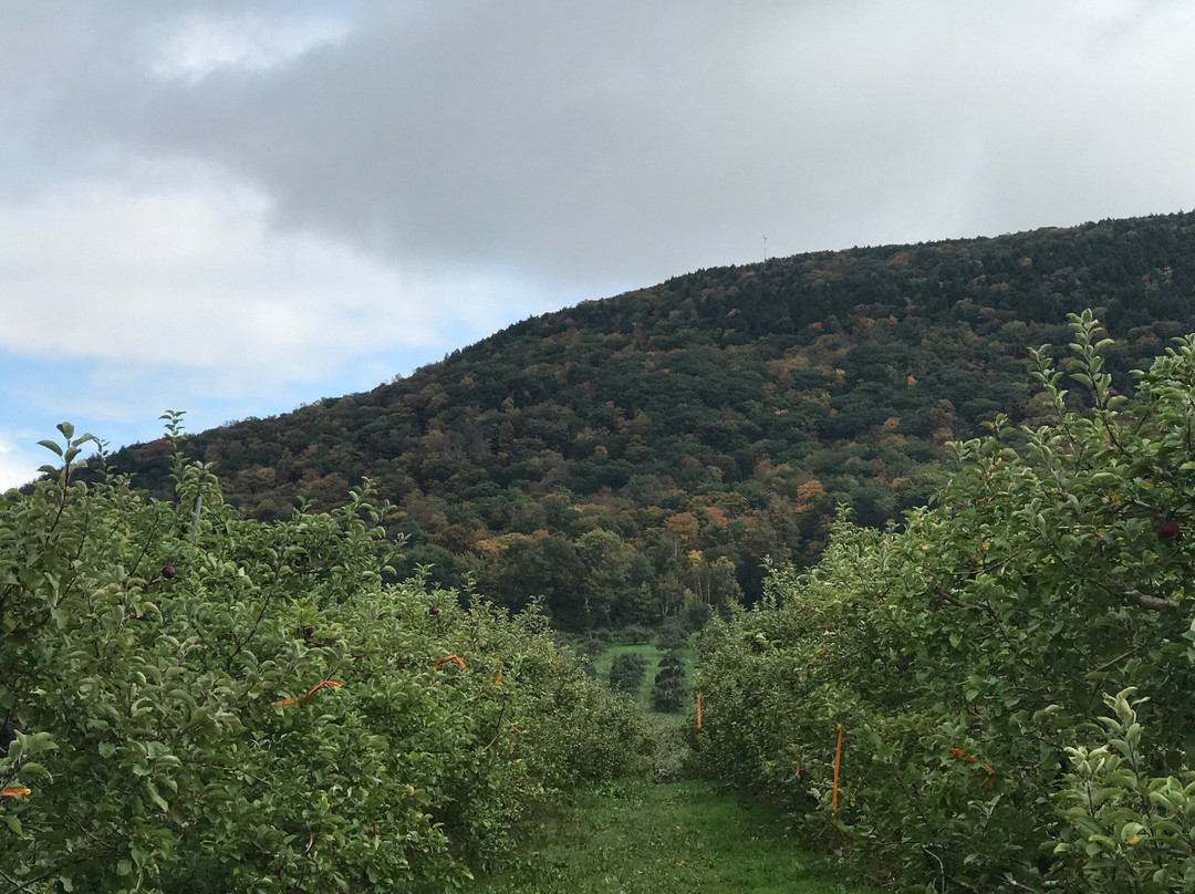 Bartlett's Orchard景点图片