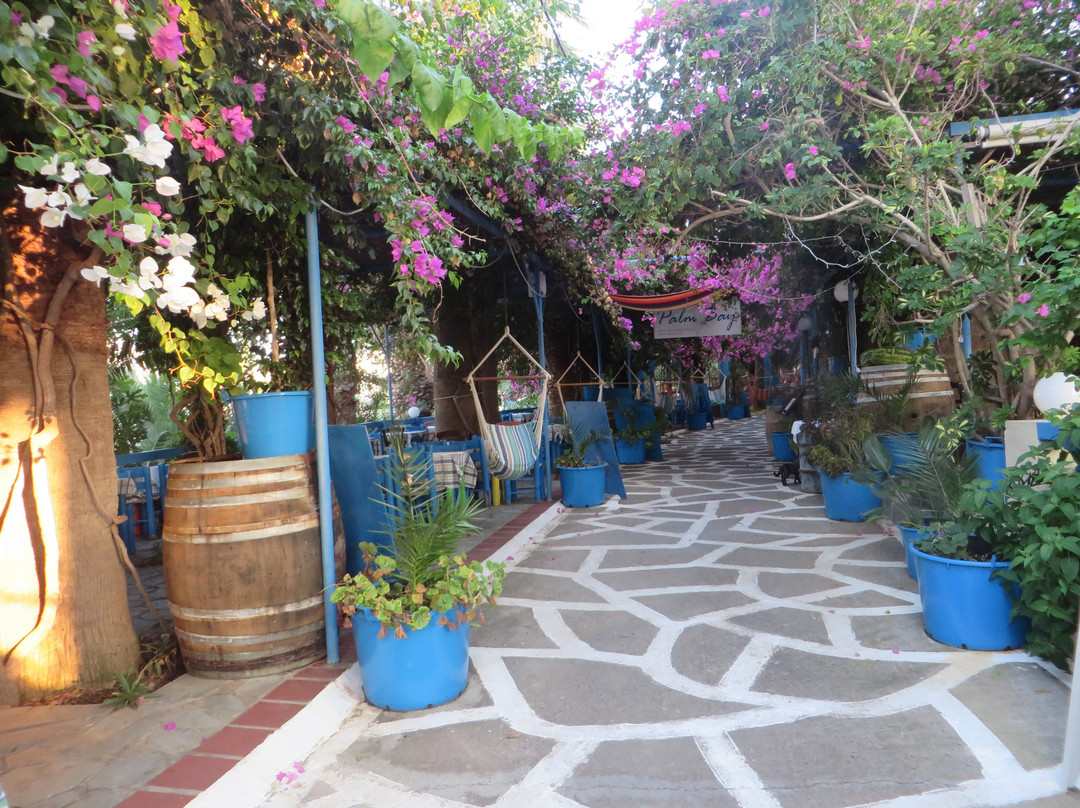 Palm Bay Hotel主图