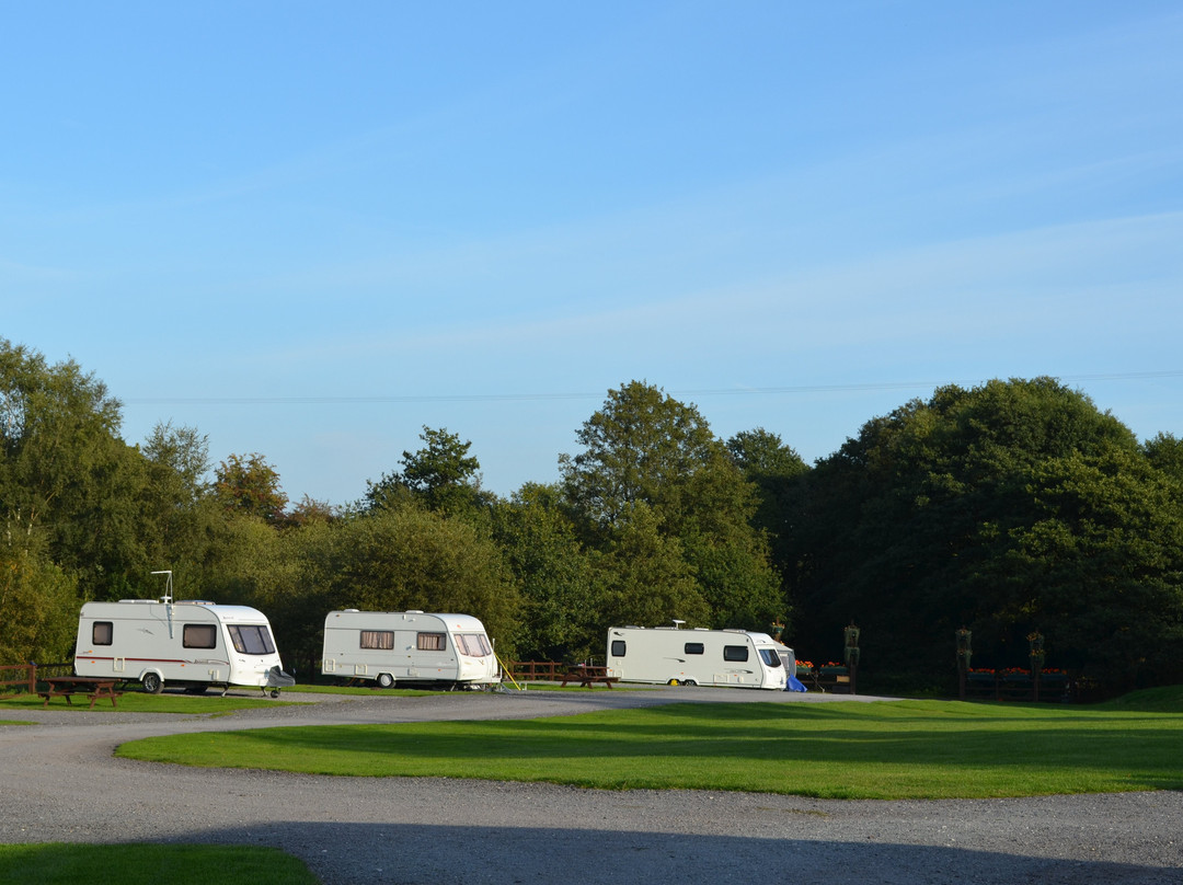 Shays Farm Campsite