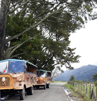 Trasandino Cordillerano - Day Tours-巴拉斯港必去景点