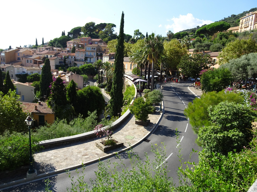 Randonnée Bormes-les-Mimosas