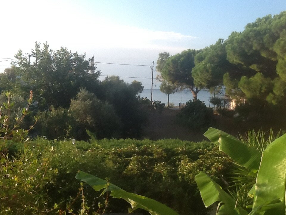 Diamond Palace主图