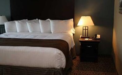 The Watford Hotel主图