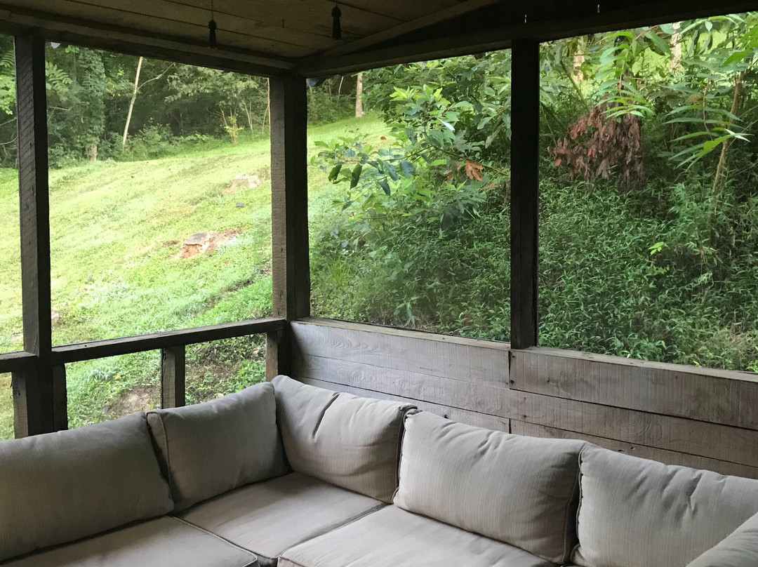 Butterfly Hollow - A Hidden Retreat主图