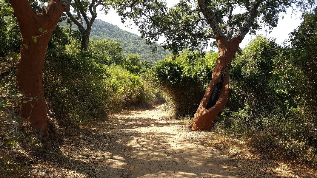 Sendero La Garganta del Capitan景点图片