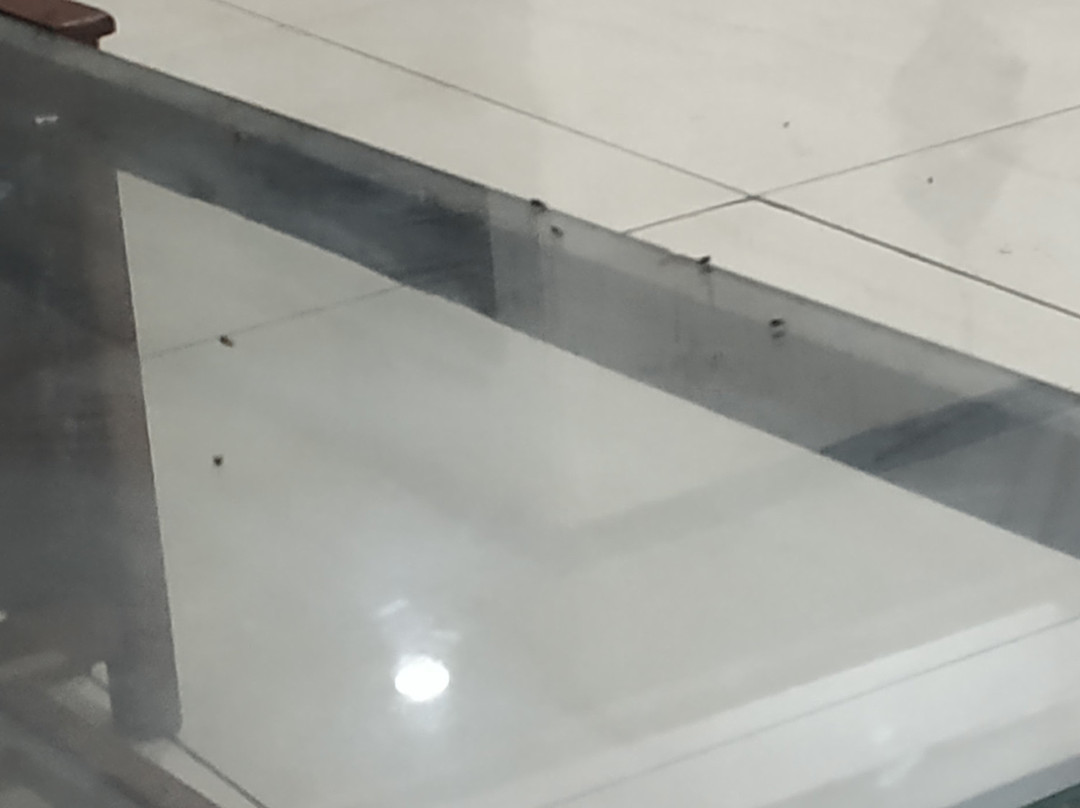 Hotel Shiraz Regency