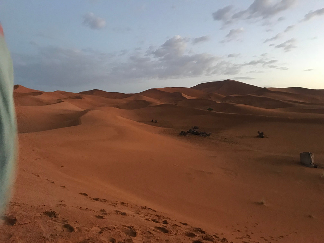 Your Desert Tours景点图片