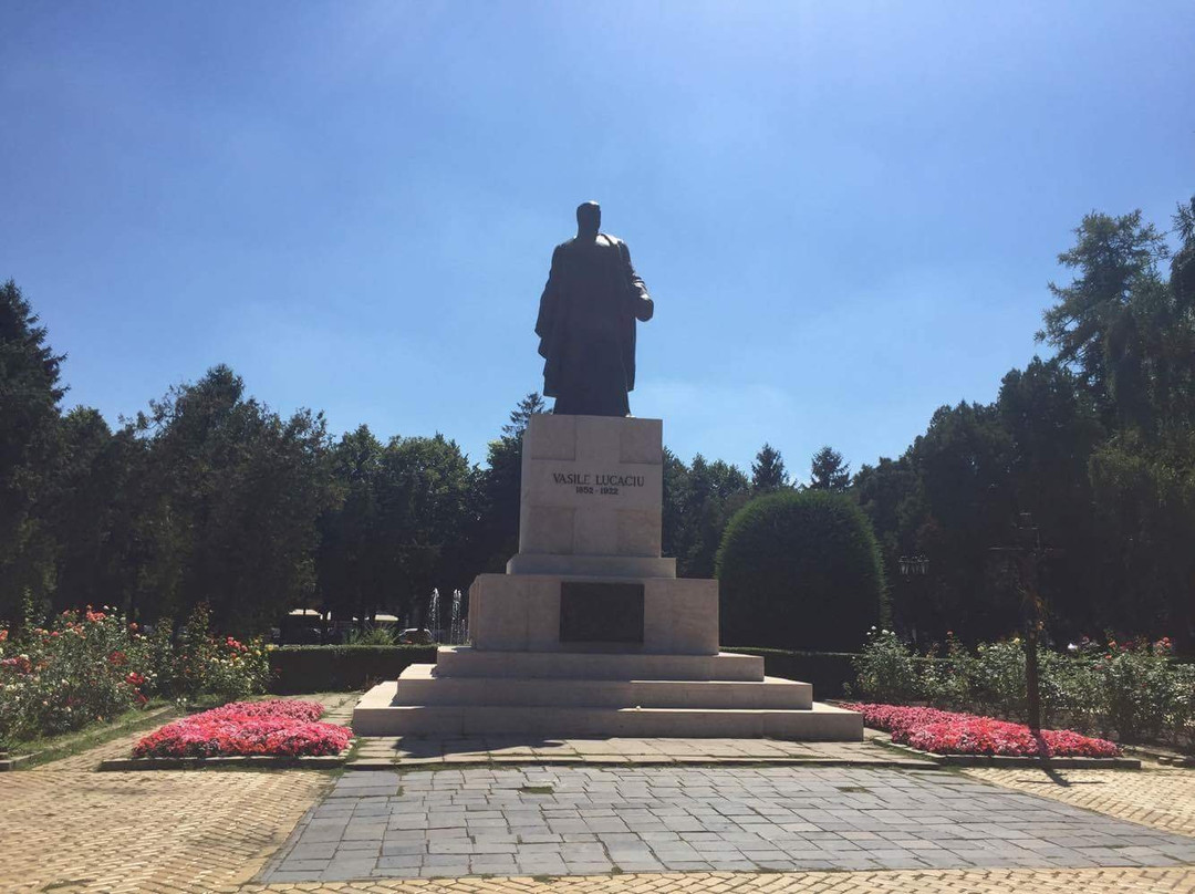 Statue of Vasile Lucaciu景点图片