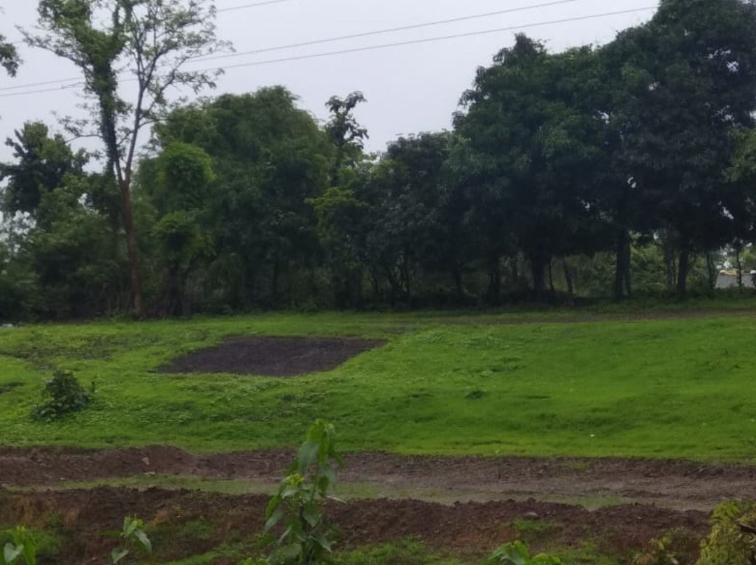 Dahanu Mahalaxmi Temple景点图片