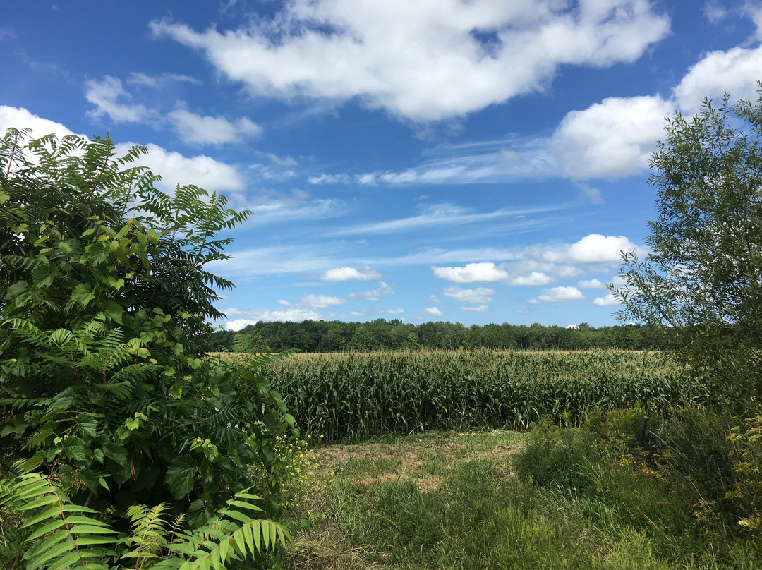 Missisquoi Valley Rail Trail-Saint Albans必去景点