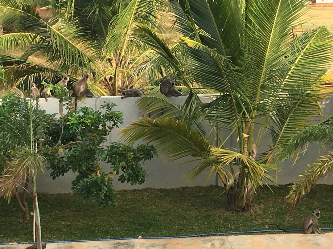 OYO 310 Sea Lagoon Beach Hotel主图