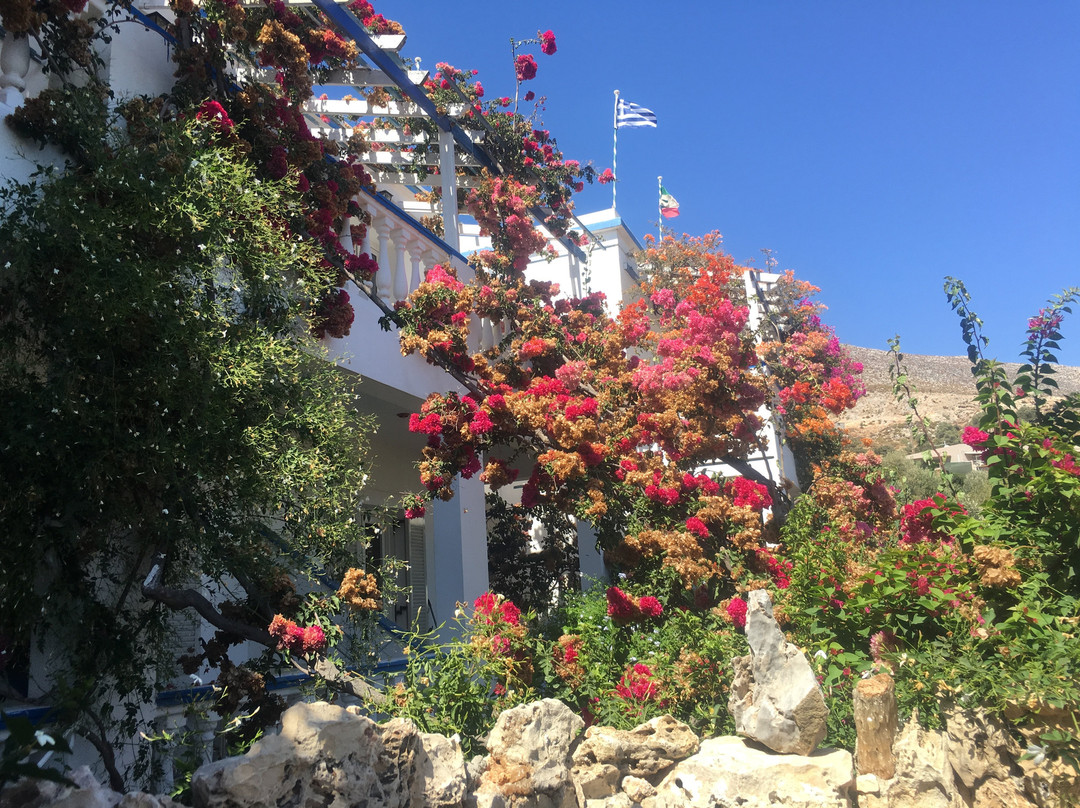 Hotel Angelika主图