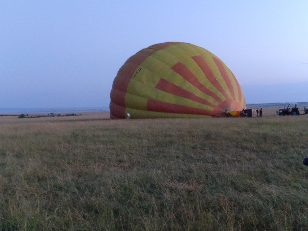 Balloon Safaris Ltd.景点图片