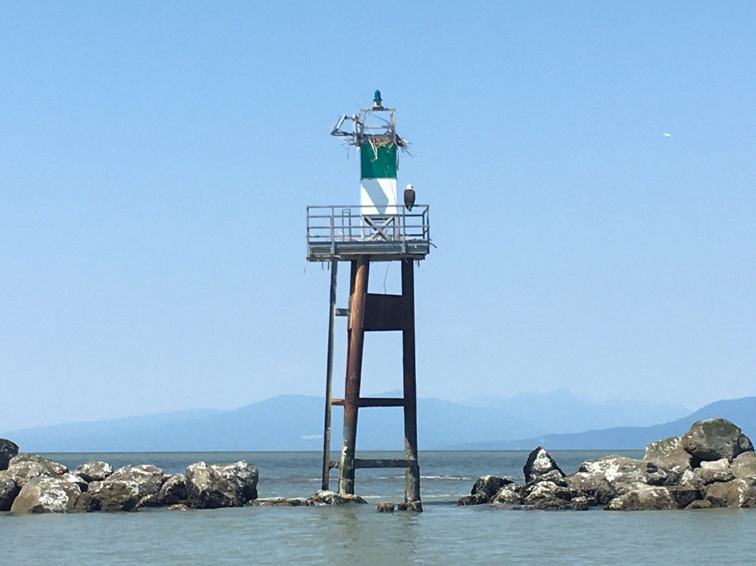 Vancouver Whale Watch景点图片