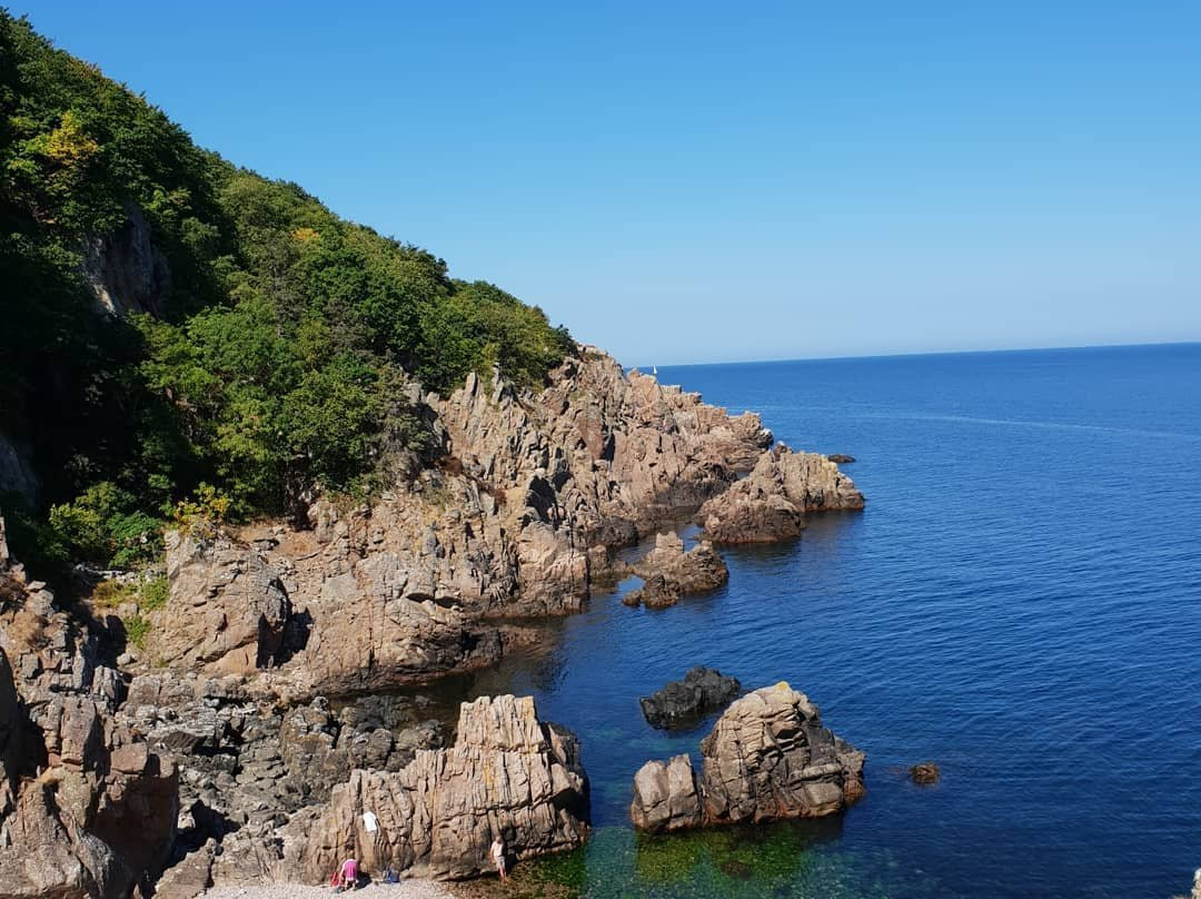 Molle旅游攻略图片