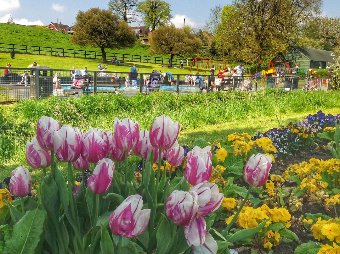 Warminster Lake Pleasure Grounds-沃敏斯特必去景点