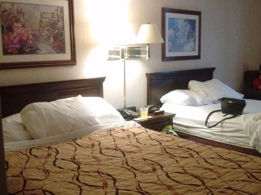 Pear Tree Inn St. Louis Arnold主图