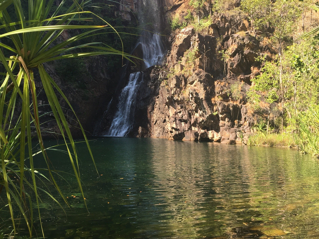 Sandy Creek-Litchfield National Park必去景点