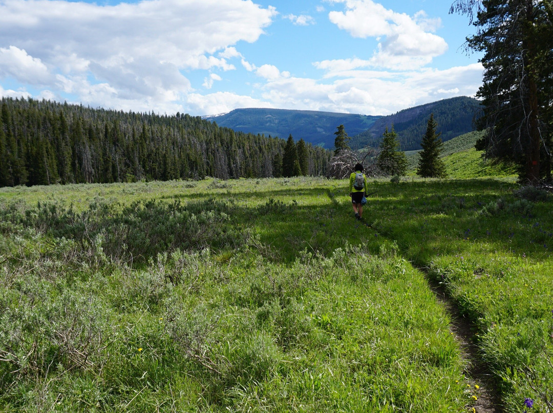 Daly Creek Trail-西黄石镇必去景点